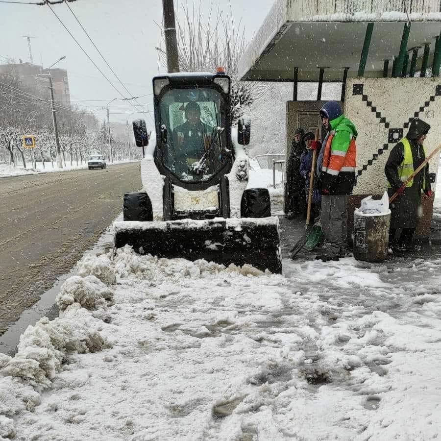 Сніг випробовує на міцність Краматорськ: є падіння аварійних дерев, комунальники розчищають місто (фото)