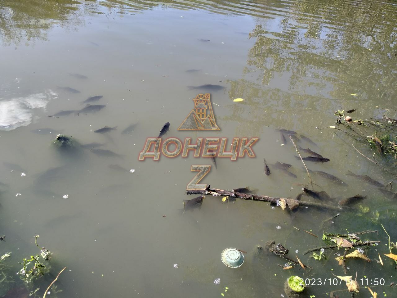 Макеевское море на оккупированной Донетчине загрязняют сточными водами –  Східний Варіант