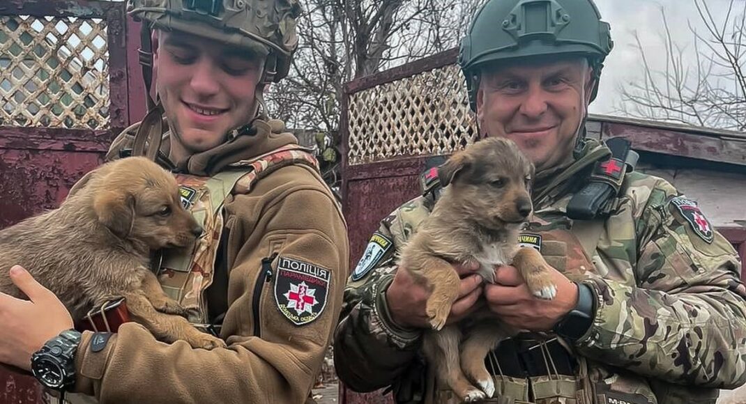 Полицейские спасли двух щенков из-под обстрелов в Донецкой области (видео)