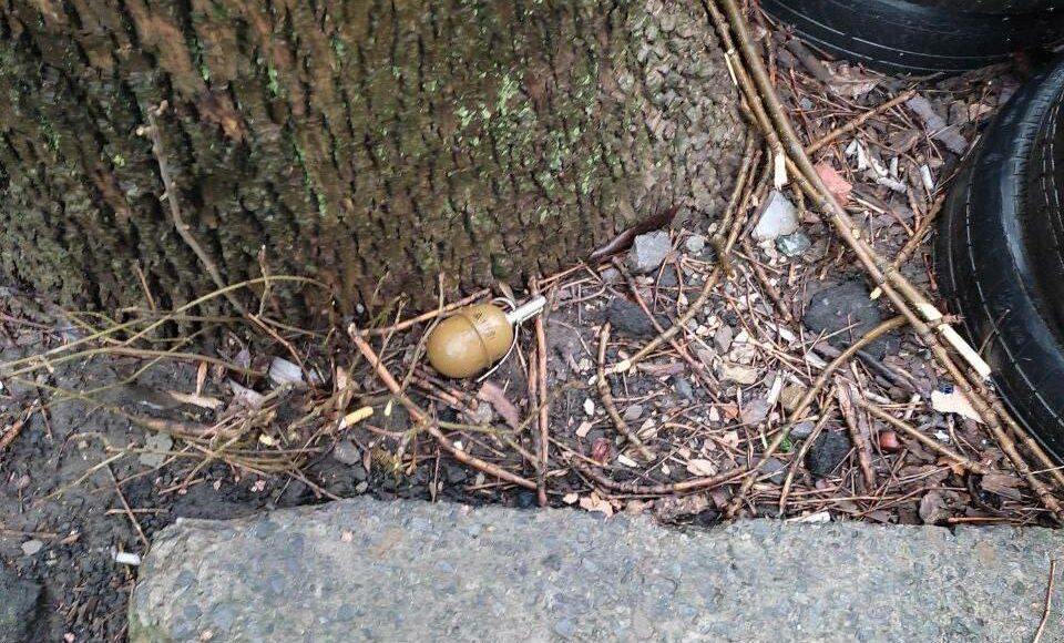 В жилом районе оккупированного Донецка найдена боевая граната под деревом