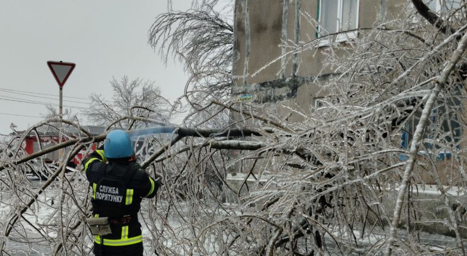 У Покровському районі минулої доби рятувальники тричі залучались до прибирання аварійних дерев
