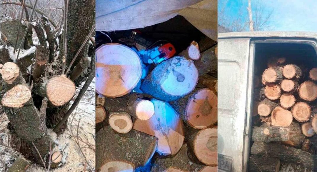 За місяць поліцейські виявили 6 випадків незаконного вивезення деревини з Краматорська та Слов'янська