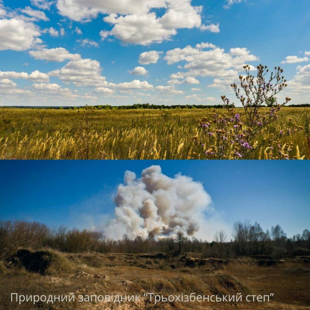 Росіяни знищили щонайменше третину лісового фонду Луганщини