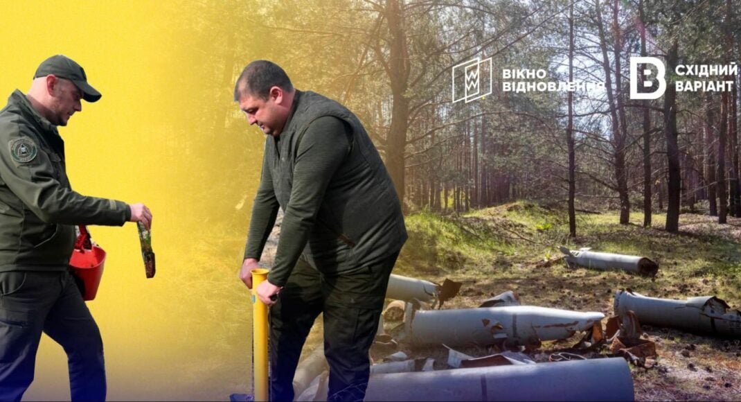 "Плануємо висадити 120 тисяч дерев": як на Донеччині відновлюється "Лиманський лісгосп"