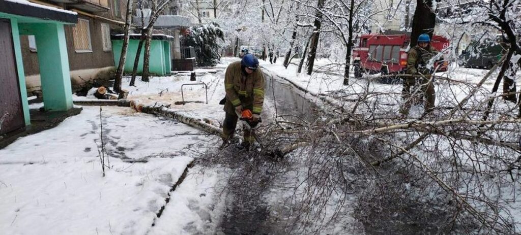 У Торецьку впало аварійне дерево і перекрило проїжджу частину дороги (фото)