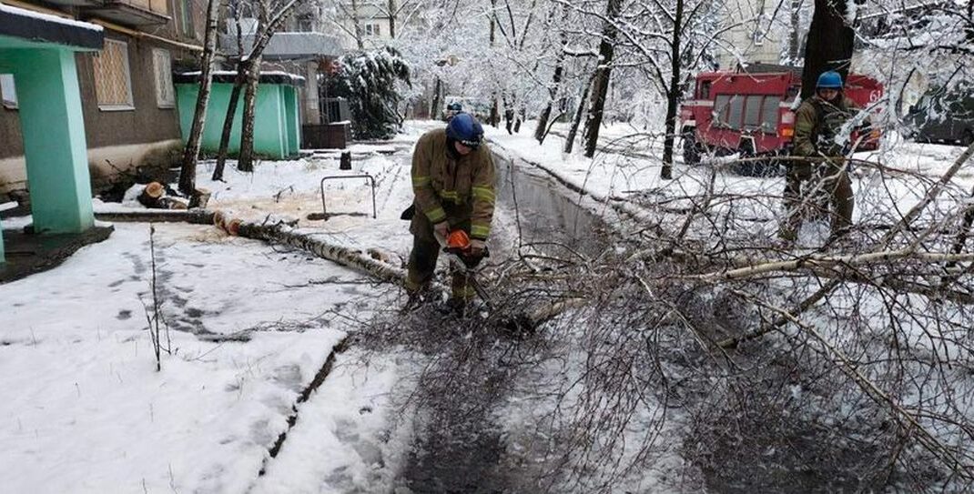 В Торецке упало аварийное дерево и перекрыло проезжую часть дороги (фото)