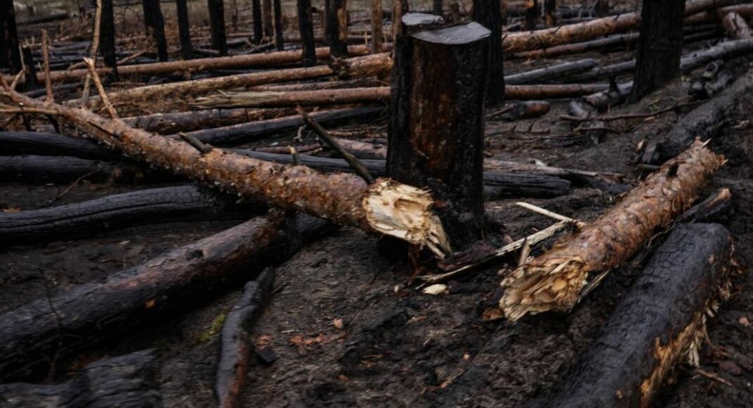 За два года рф причинила ущерб украинской окружающей среде почти на 63 миллиарда долларов