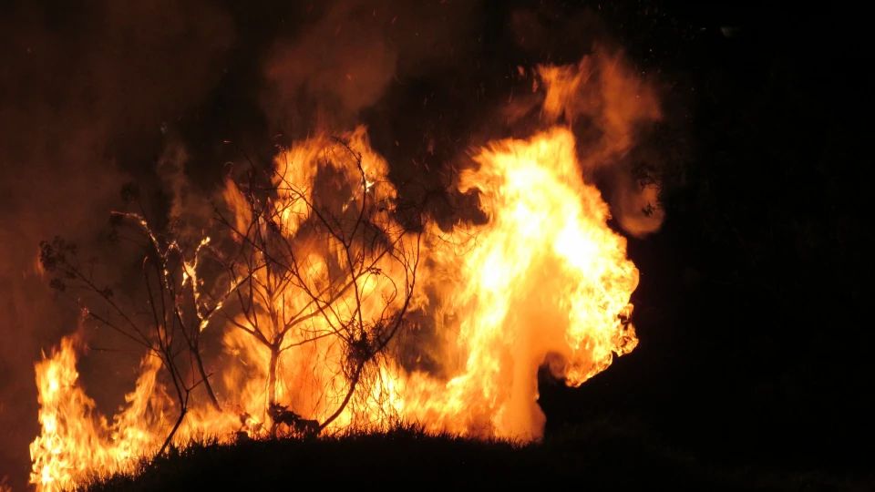 На Донеччині оголосили надзвичайний рівень пожежної небезпеки