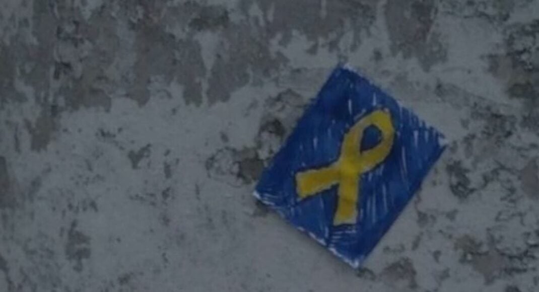 Движение "Желтая Лента" призывает игнорировать и бойкотировать фейковые выборы на ВОТ Украины (видео)