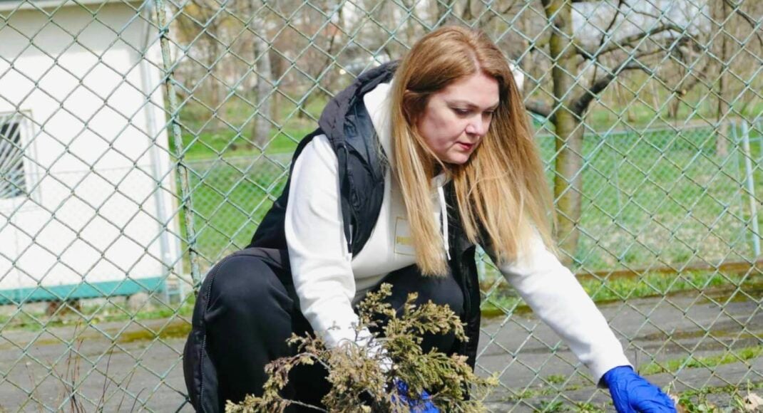 У Калуші висадили алею тюльпанів "ВПО Луганщини" (фото)