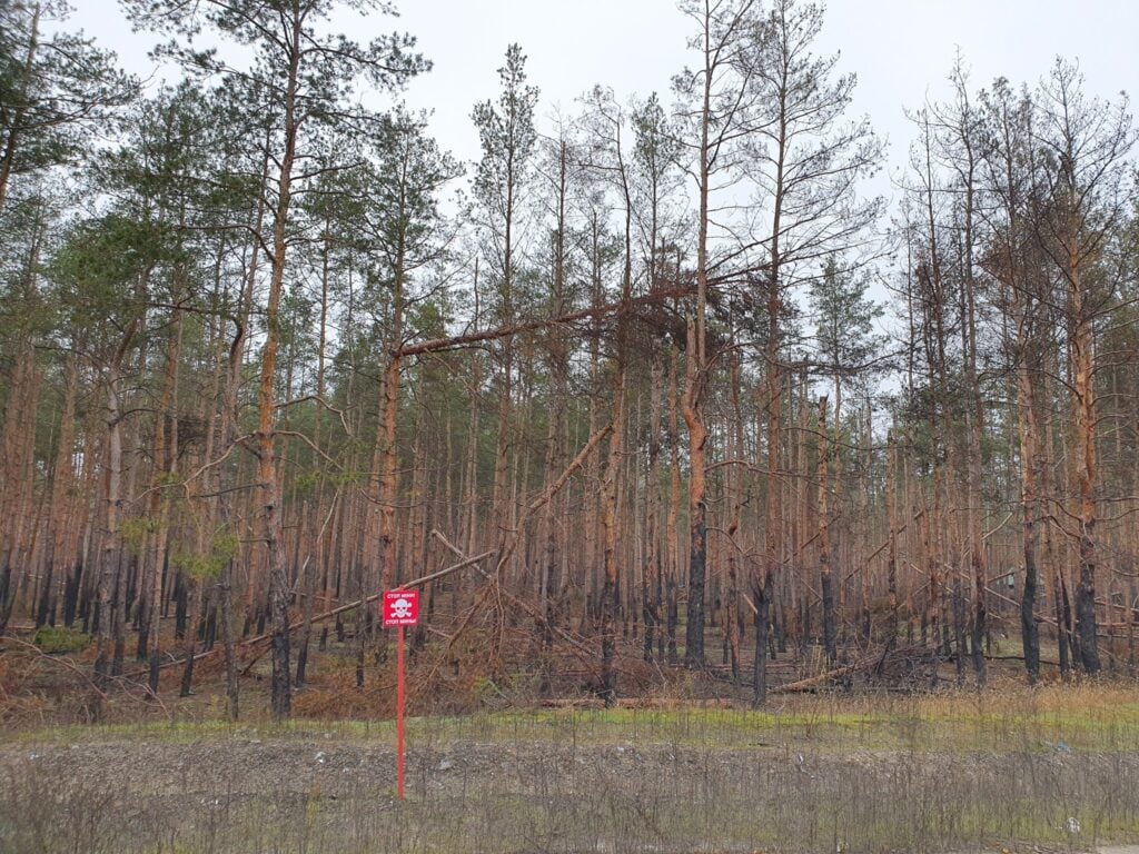 ліси Лиманщини