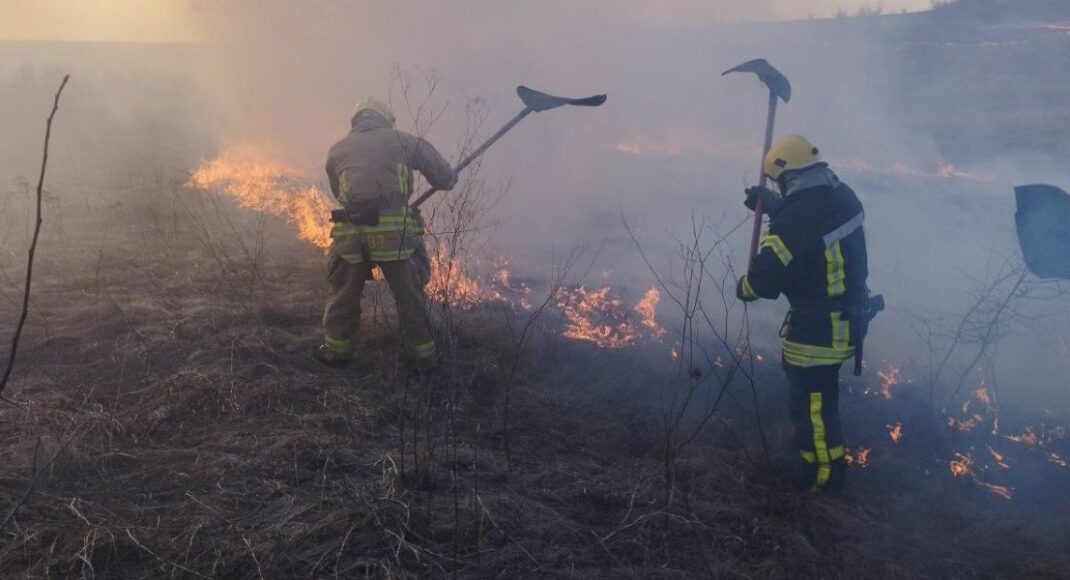 Донеччина палає: за три дні внаслідок пожеж на відкритій території були знищені 53 га рослинного світу