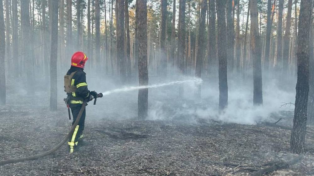 В Донецкой области спасатели ликвидировали 7 пожаров за сутки