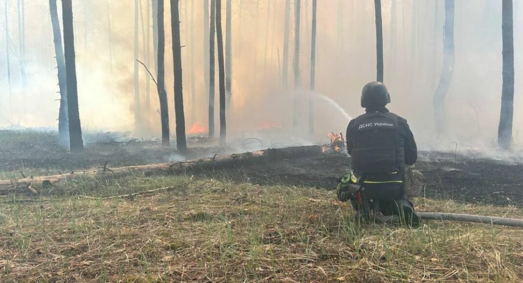 Рятувальники Донеччини ліквідували дві пожежі на території області (фото)