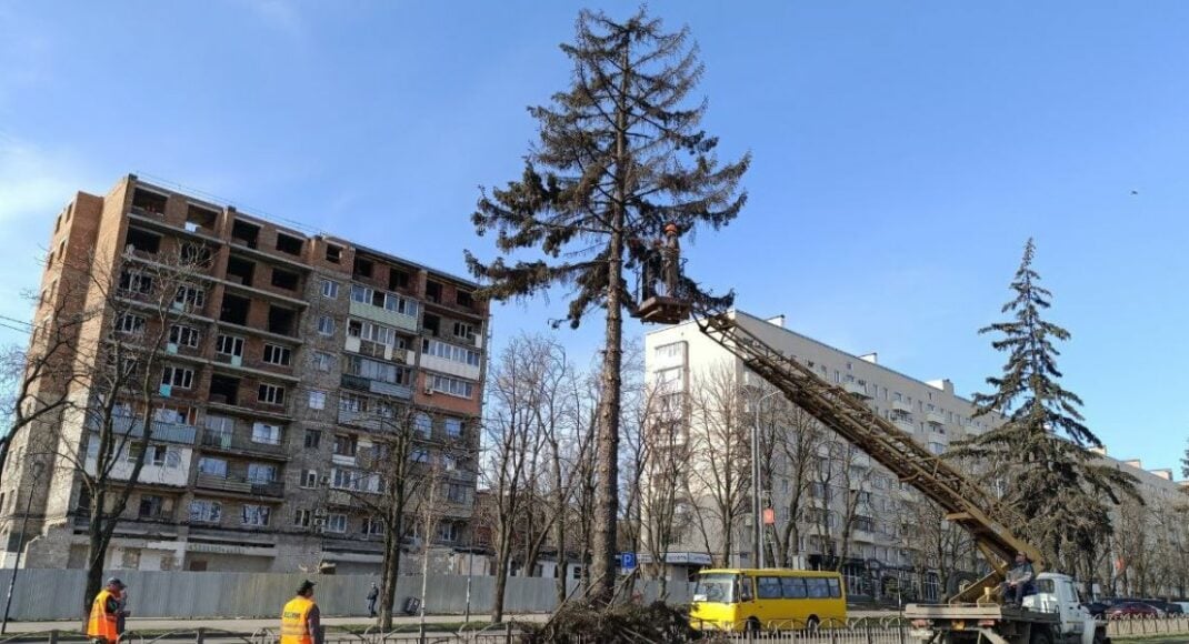 В окупованому Маріуполі загарбники масово спилюють дерева (фото)