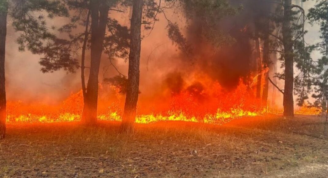 В Донецкой области объявили чрезвычайный уровень пожарной опасности