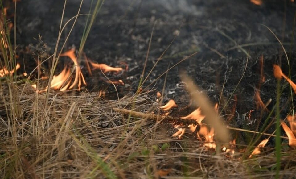 На оккупированной Луганщине за прошедшие сутки произошло 6 пожаров, погиб человек