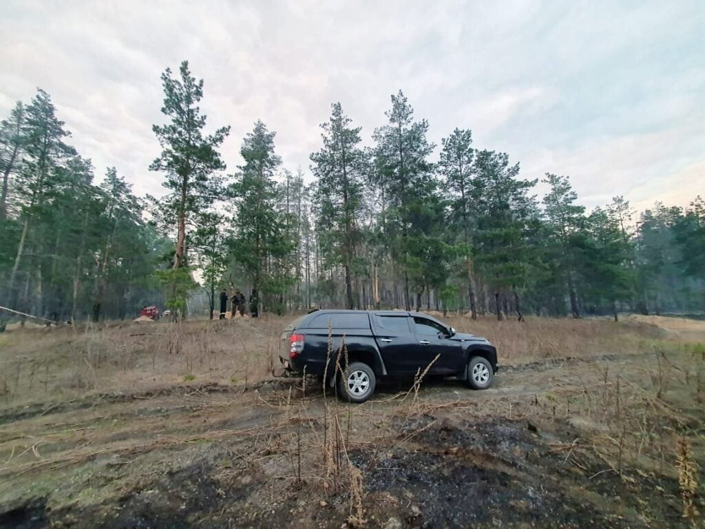 пожежі на Лиманщині