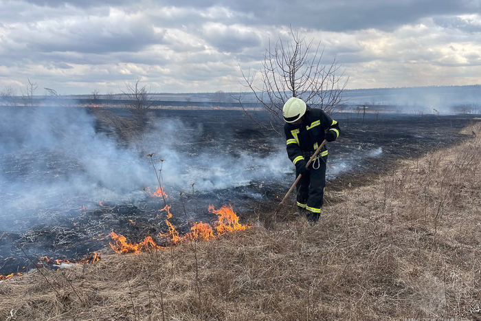 Пожежами на ТОТ Луганщини знищено за добу 60 га ландшафтів