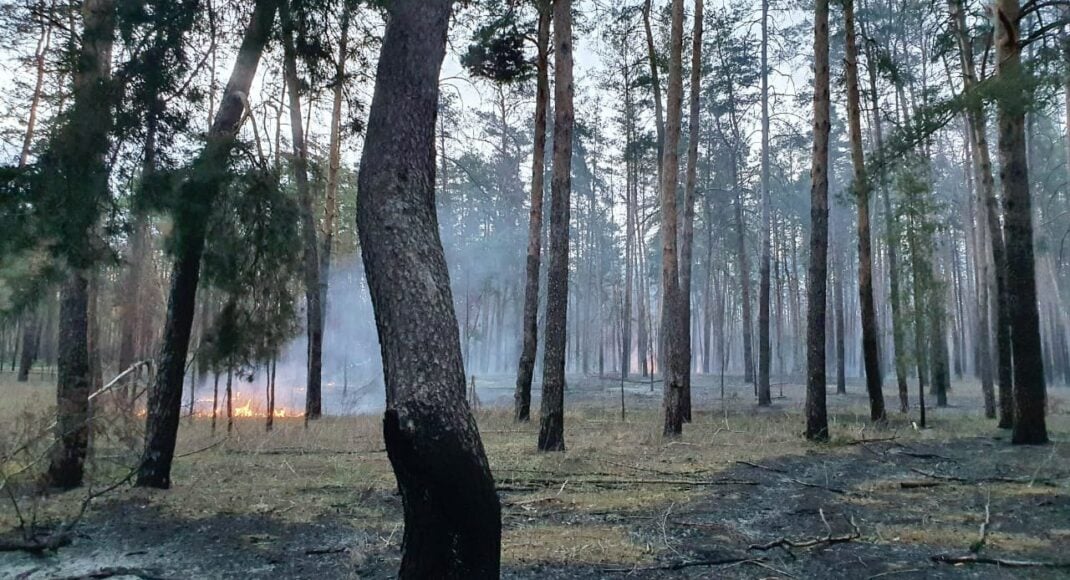 Через російські обстріли на території лісів Лиманщини сталося кілька пожеж