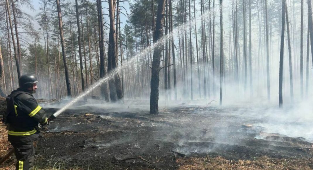 На Донетчине пожарные ликвидировали 7 пожаров, два из которых — в экосистемах