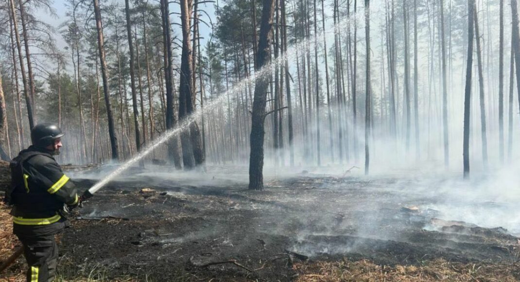 На Донеччині вогнеборці ліквідували 7 пожеж, дві з яких — в екосистемах