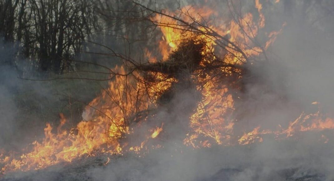 Навколо окупованого Сєвєродонецька знов палають ліси
