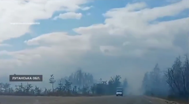 Десятки квадратних кілометрів окупованої Луганщини охоплені лісовими пожежами