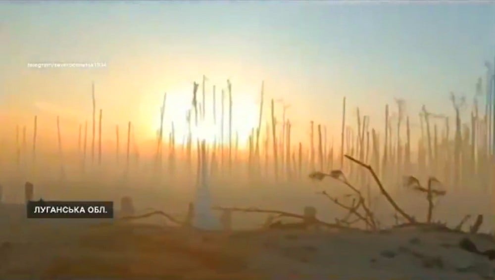 Десятки квадратных километров оккупированной Луганщины охвачены лесными пожарами