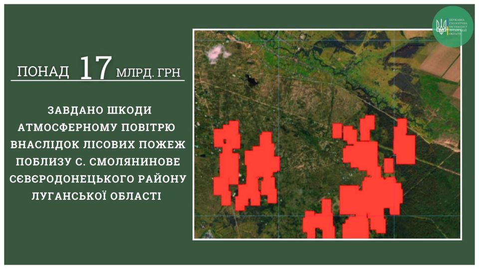 Понад 17 мільярдів гривень шкоди заподіяно окупантами через нещодавні лісові пожежі у Сєвєродонецькому районі