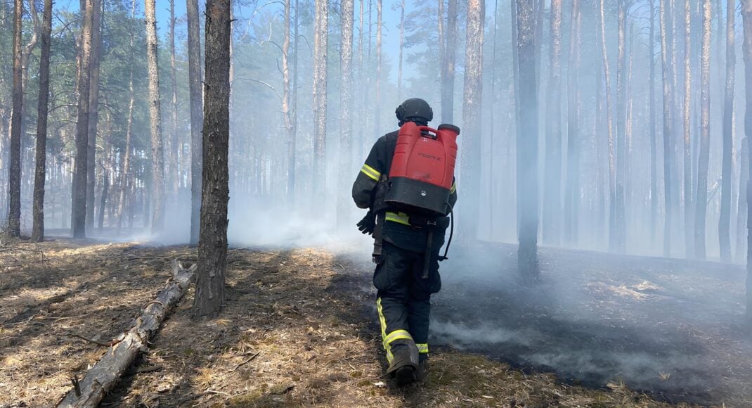 9 днів надзвичайники боролися з лісовою пожежею на території Лиманського лісництва