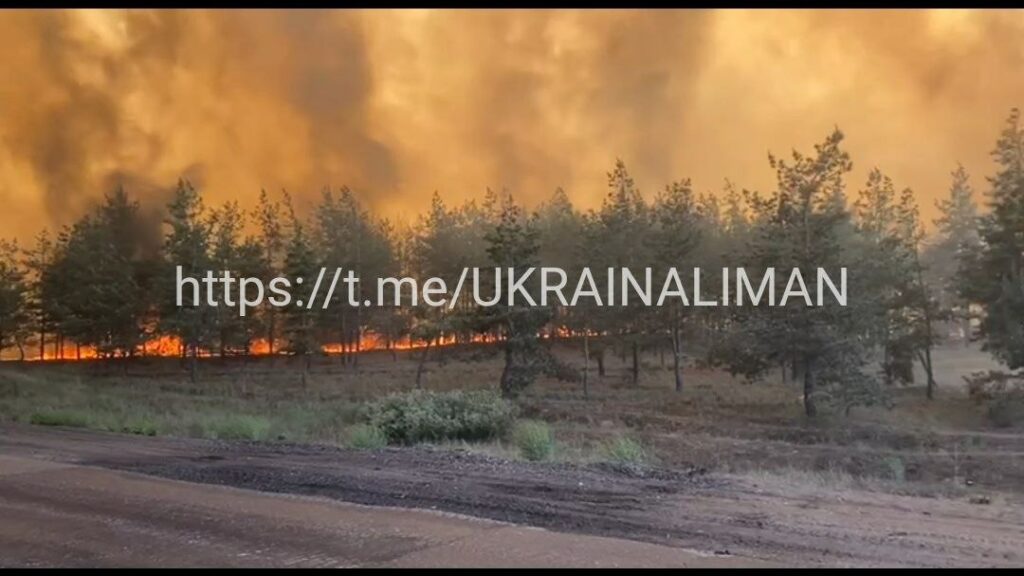 У Лиманських лісах сталася масштабна пожежа (відео)