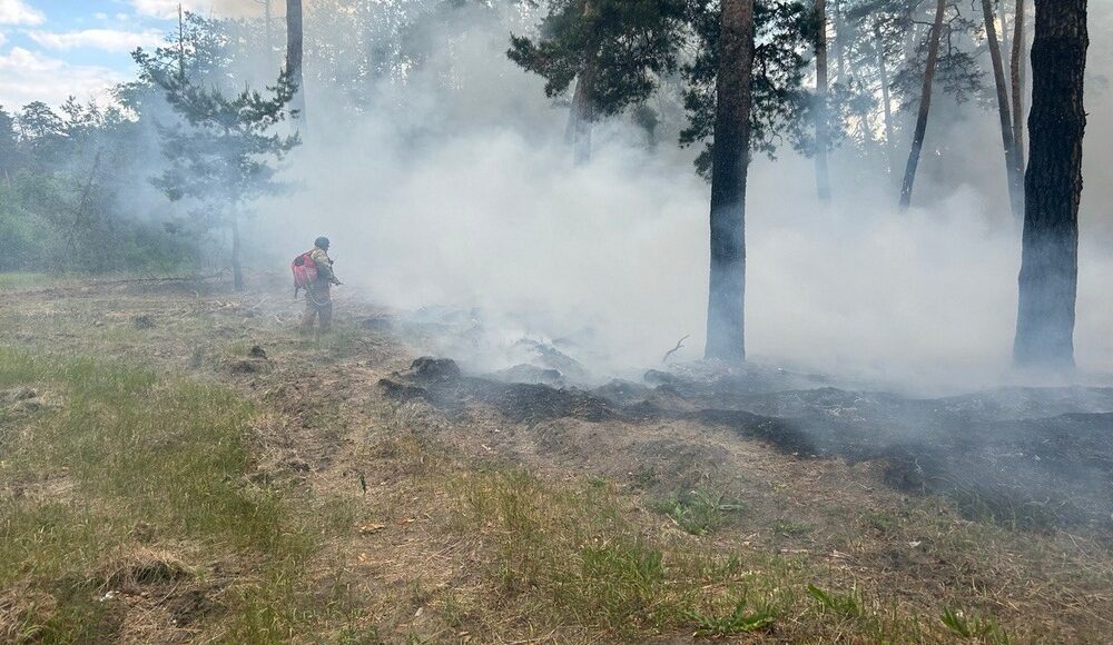 Рятувальники Лиманського гарнізону ліквідували 3 пожежі в лісах за добу (фото)
