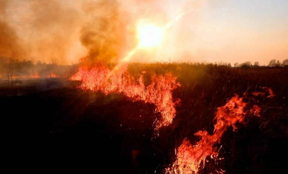 Во время пожара на ВОТ Луганщины погиб человек