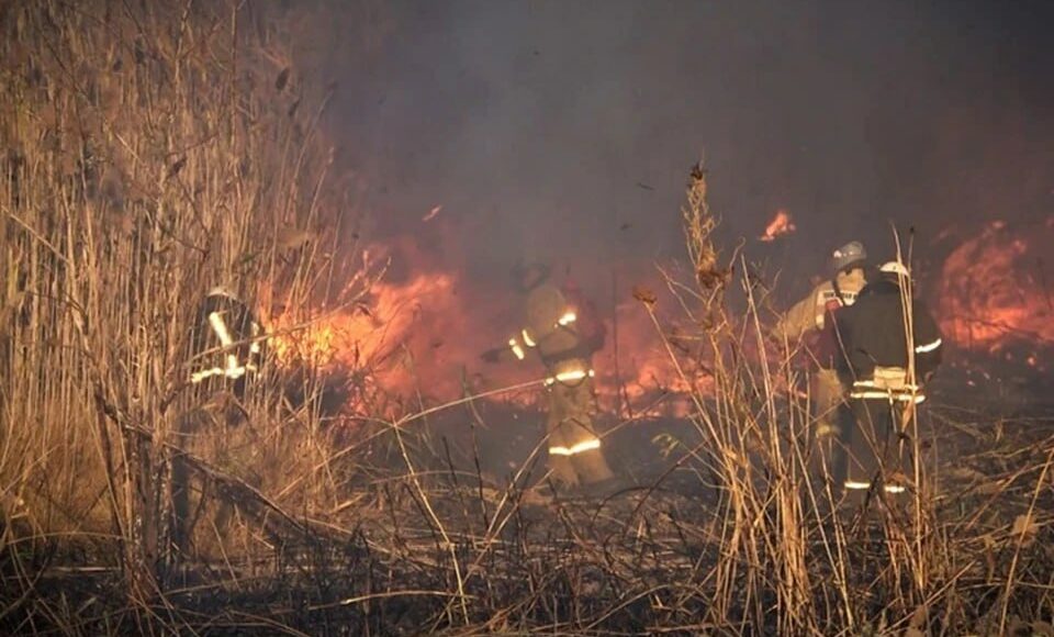 Через пожежі на ТОТ Луганщини вигоріло 28 га земель