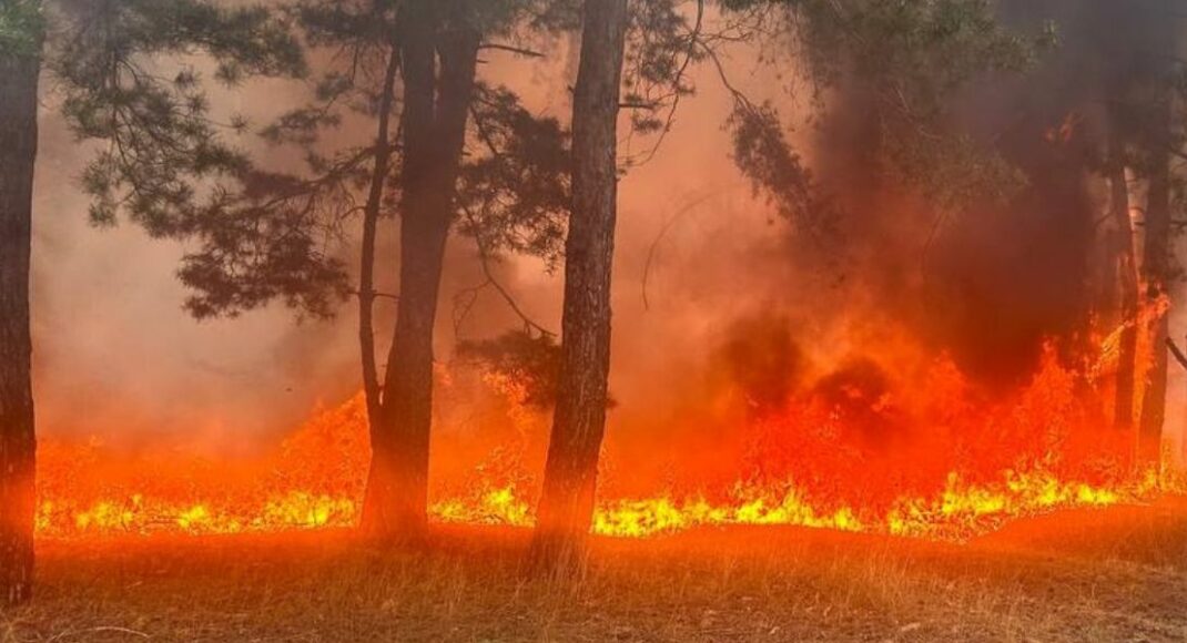 На Донеччині оголосили надзвичайний рівень пожежної небезпеки