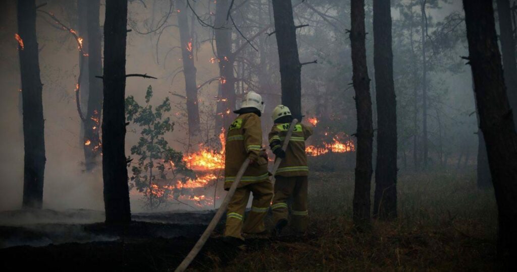 лісова пожежа на ТОТ Луганщини