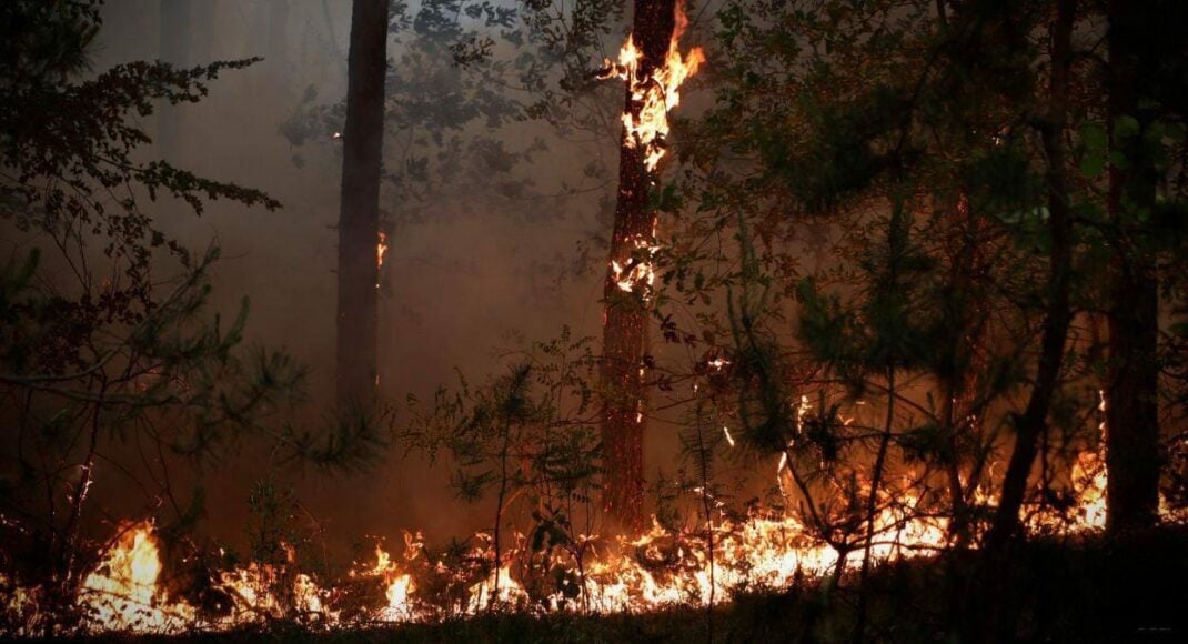Вокруг оккупированной Станицы Луганской горят 110 гектаров лесов