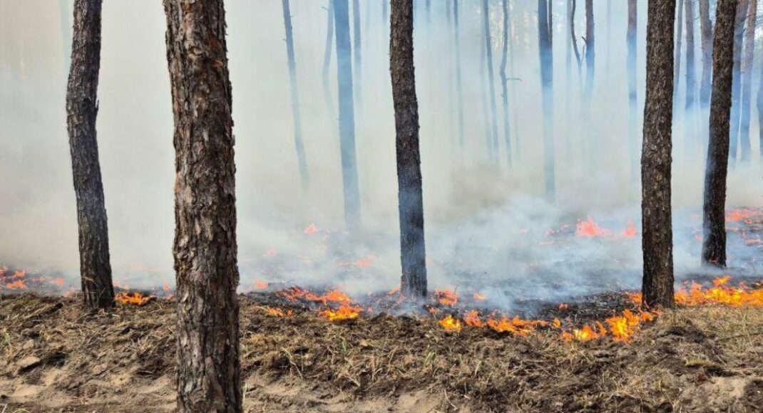 Лиманське пекло: армія рф продовжує нищити на Донеччині цивільну інфраструктуру та ліси (фото)