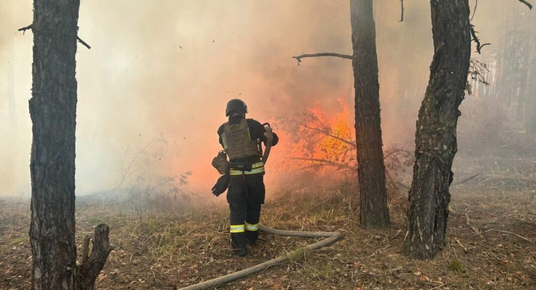 В течение прошлой недели на Донетчине огонь уничтожил около 570 га леса (фото, видео)