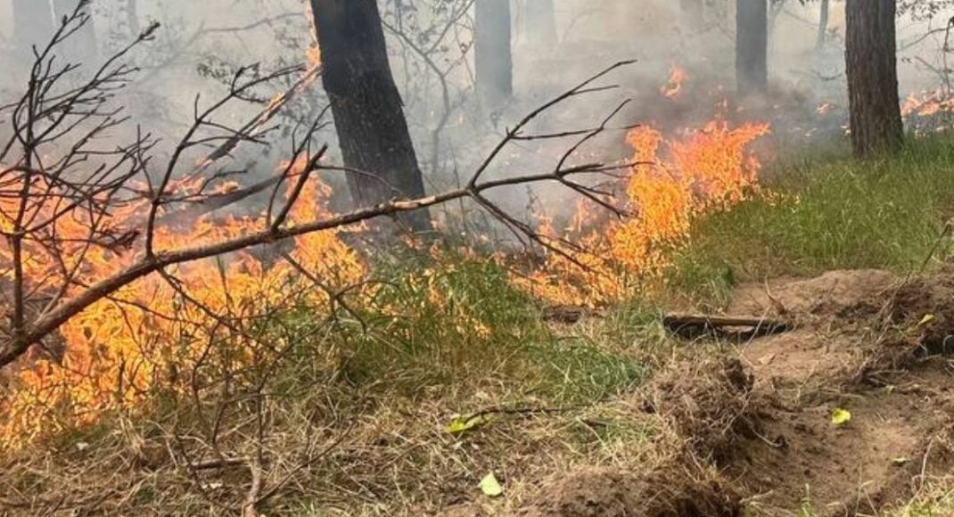На территории Донецкой области будет преобладать чрезвычайный уровень пожарной опасности