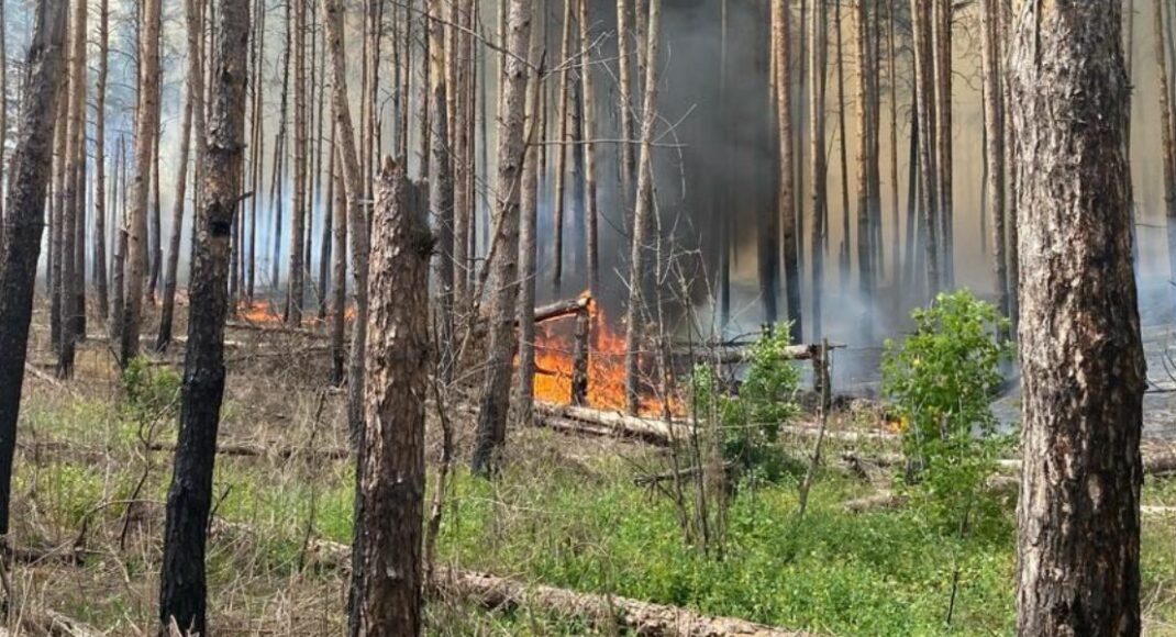 Унаслідок російського обстрілу на Донеччині горять "Святі гори" (фото)