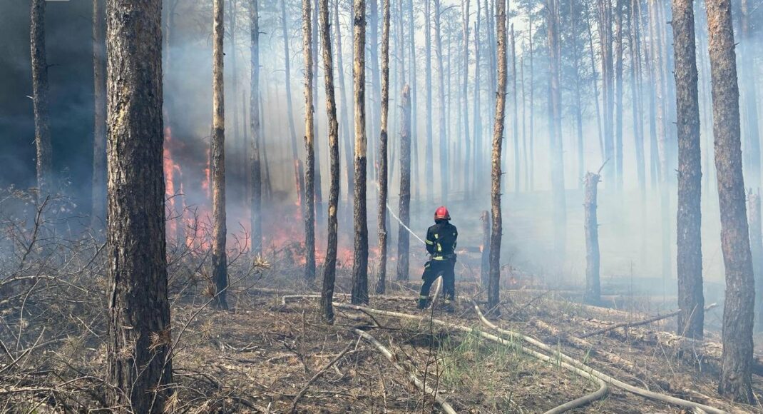 З початку великої війни росіянами на Донеччині знищено майже 2700 га лісів