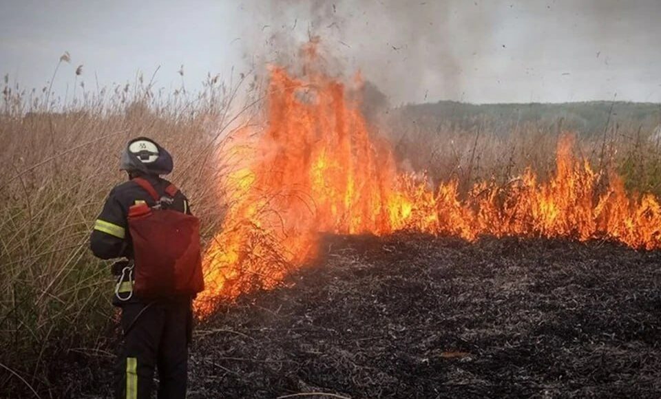 За сутки на ВОТ Луганщины в пожарах выгорело 25 гектаров земель