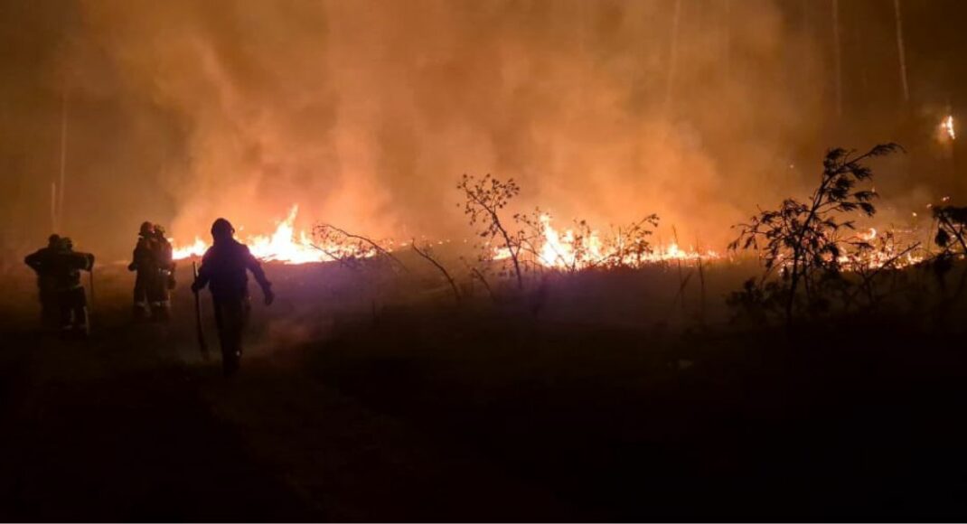 На Донеччині ліквідували загоряння Лиманського лісу, спричиненого ворожим обстрілом (фото)