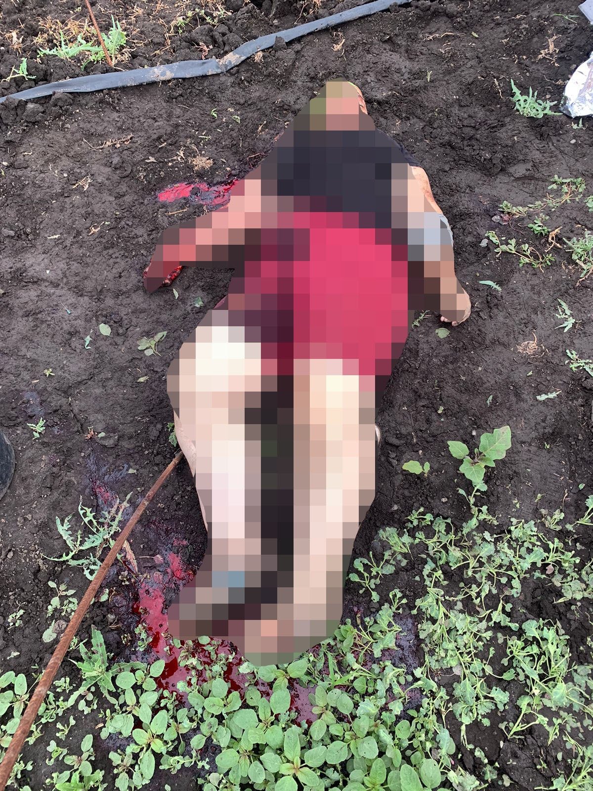 Внаслідок обстрілу Волноваського району загинуло 3 людини (фото)