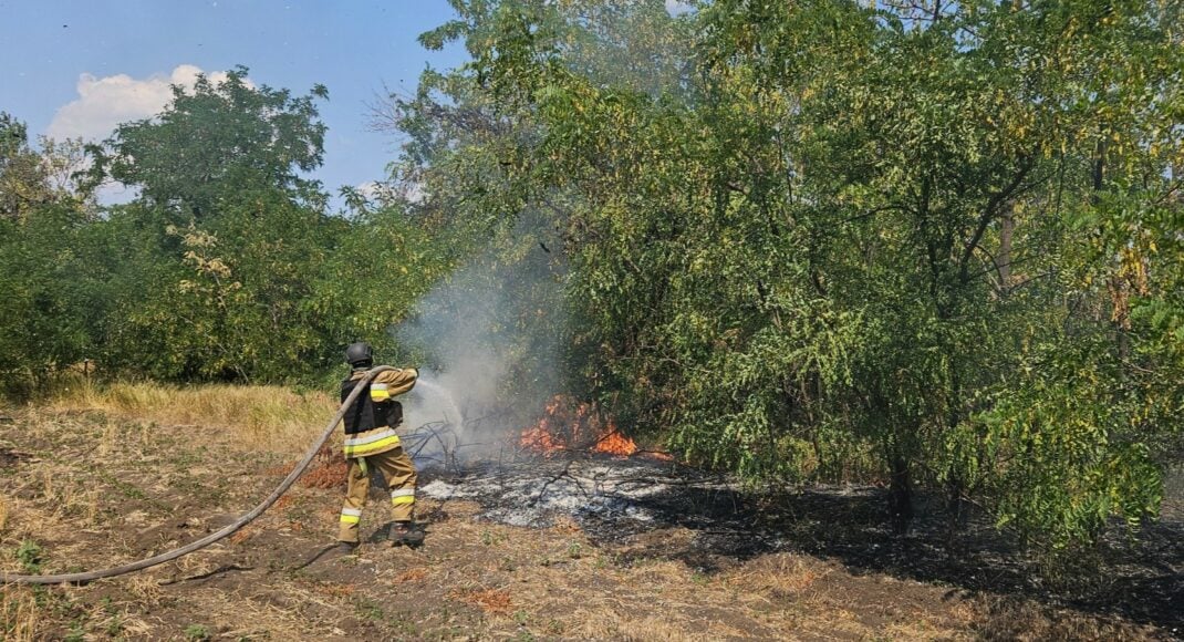 В Донецкой области спасатели ликвидировали 22 пожара за прошедшие сутки