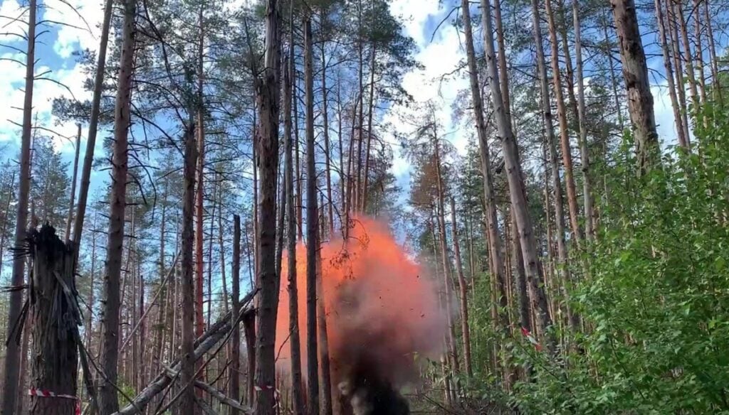 Піротехніки Донеччини знайшли в лісі парку "Святі гори" протитанкову міну ПТМ-4