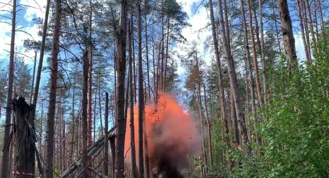 Пиротехники нашли в лесу парка "Святые горы" противотанковую мину ПТМ — 4 (фото)