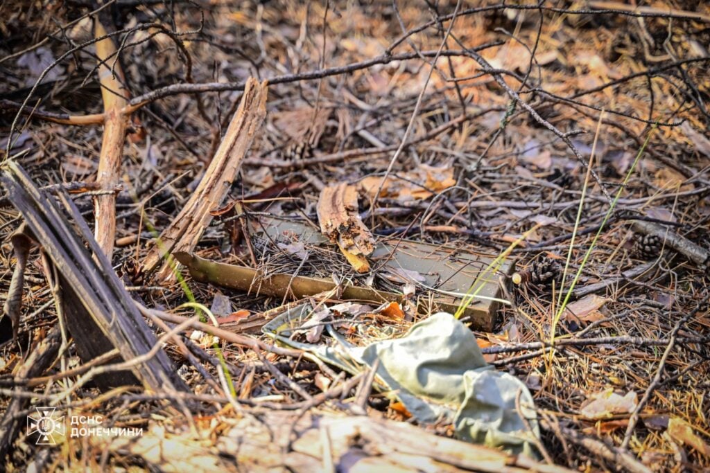 Піротехніки знайшли в лісі парку "Святі гори" протитанкову міну ПТМ — 4 (фото)
